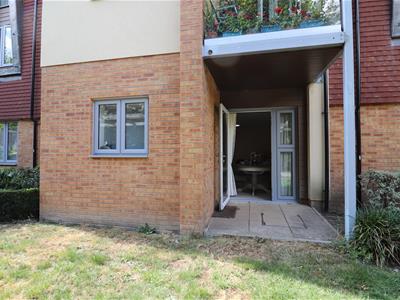 Picture 13